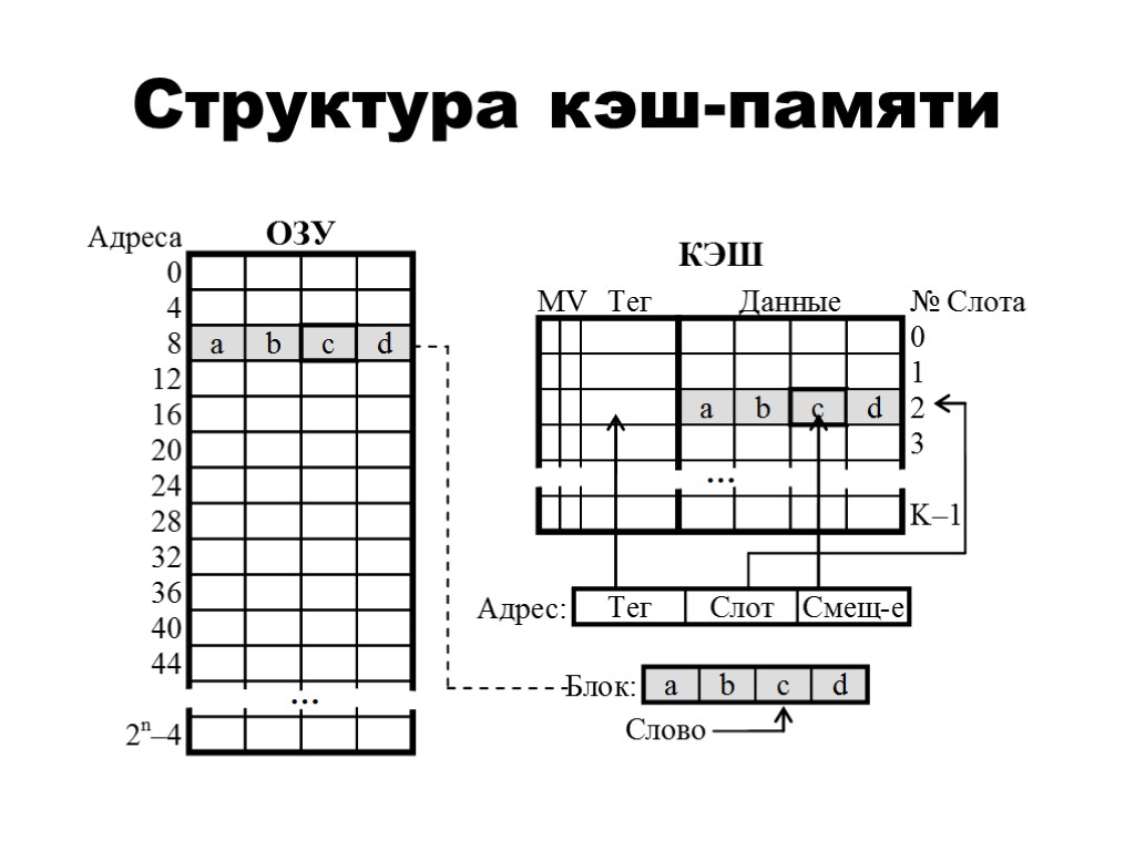 Структура кэш-памяти